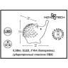 Светильник NOVOTECH NIGHT LIGHT LED ночник с выключателем NV-357425